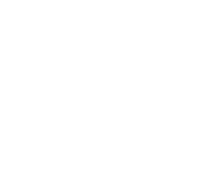 Management und Support
